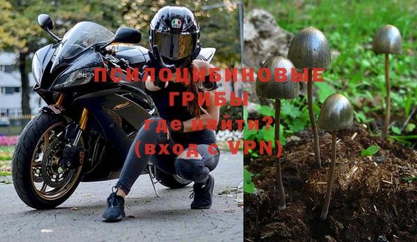 ECSTASY Абаза